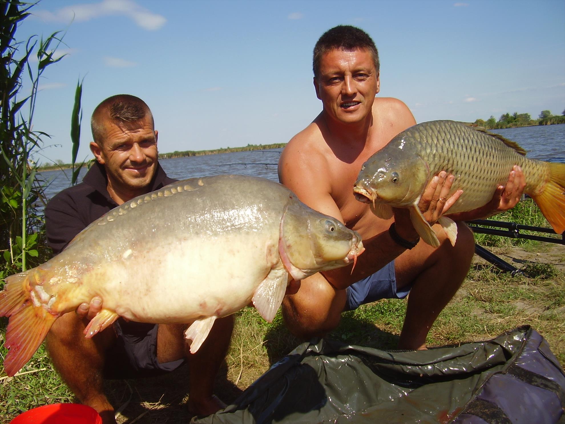 Alejandro Carp Team - Ohat Ungaria 2013 - p5060011.JPG